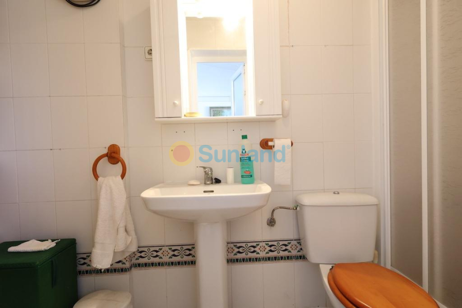 Segunda mano - T - San Miguel De Salinas - Villamartín