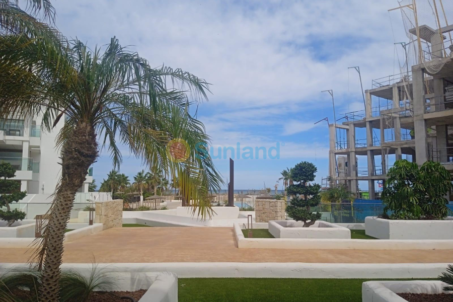 Nueva construcción  - Ground floor apartment - Dénia - L´Estanyó (Marinas)