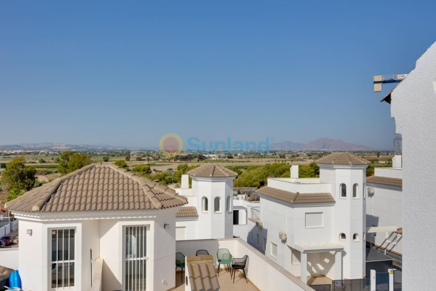 Ny bygg - Semidetached - San Fulgencio - El Oasis