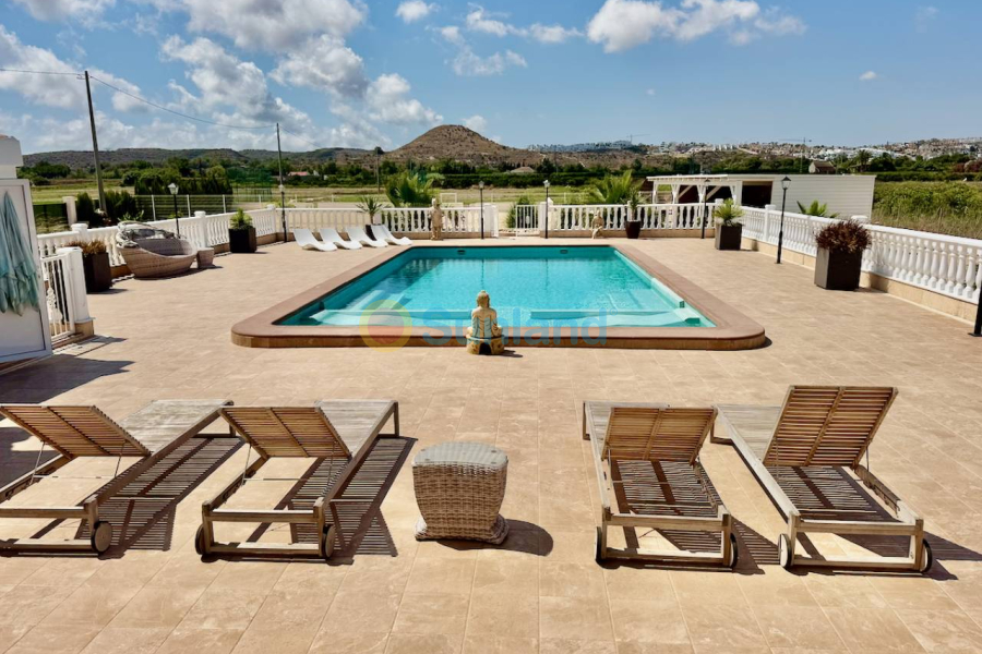 Använda fastigheter - Villa - Rojales