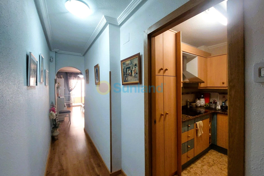 Segunda mano - A - Torrevieja - Centro