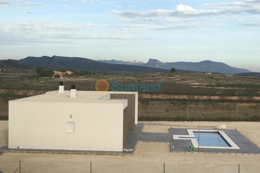 New Build - Villa - Pinoso - Camino Del Prado