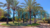 Resale - Villa - Elche - 