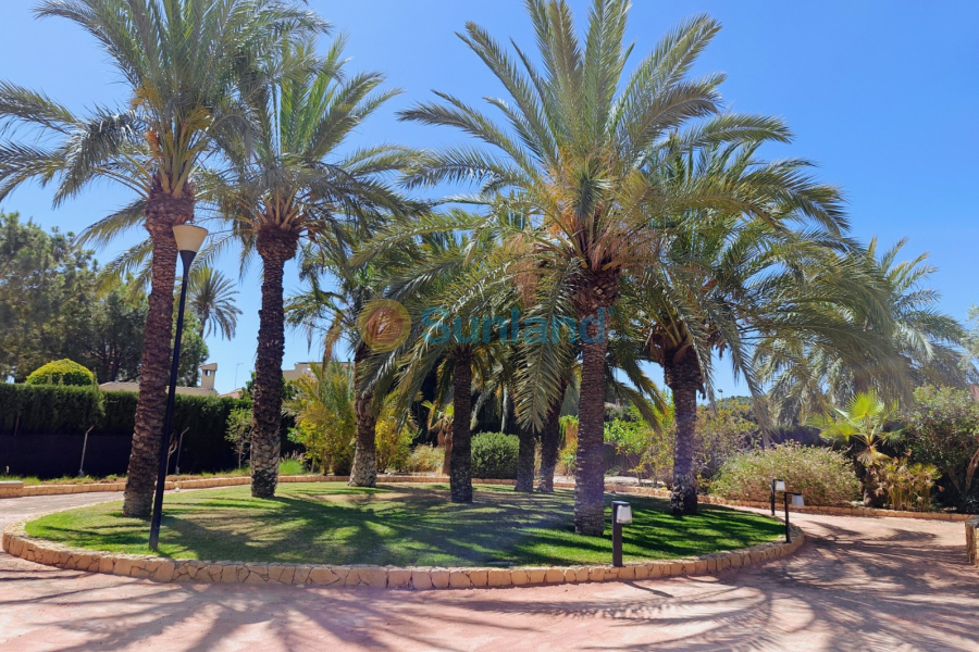 Resale - Villa - Elche - 