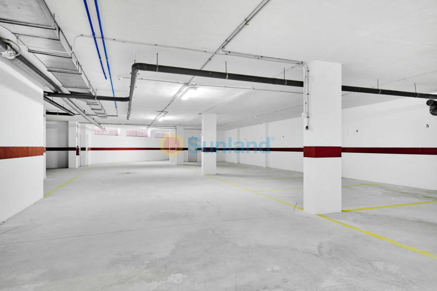 New Build - Apartment - San Miguel De Salinas