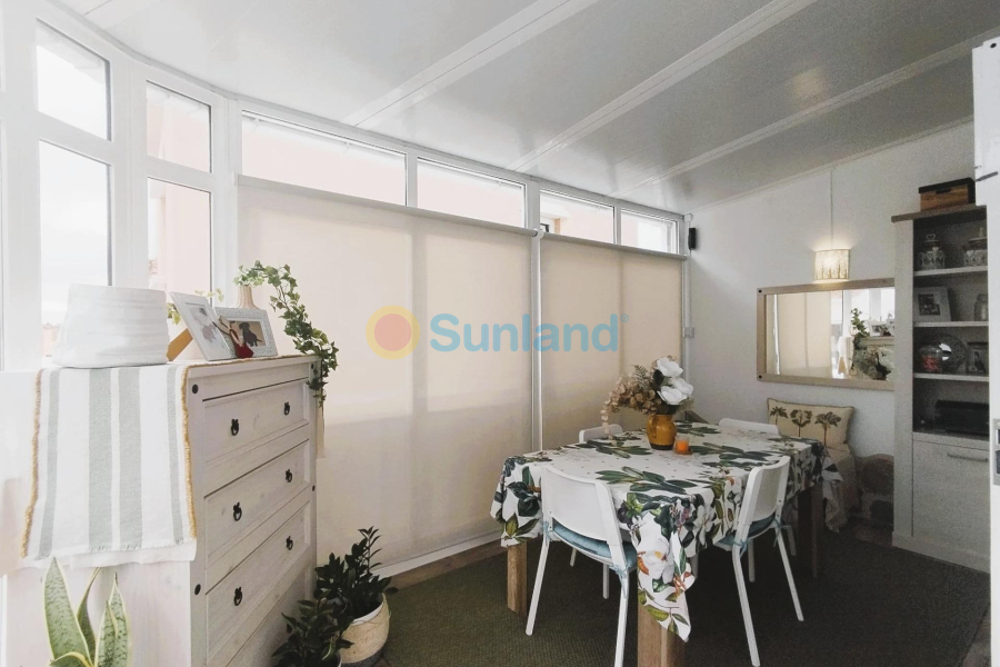 Segunda mano - V - San Miguel De Salinas - Las filipinas