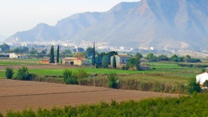 Resale - Finca - Callosa De Segura