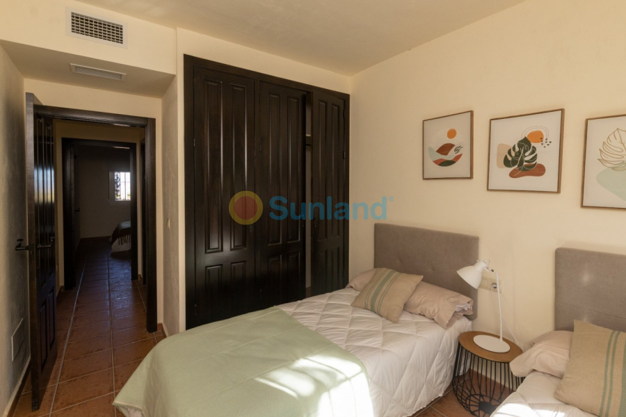 Nueva construcción  - Semidetached - Fuente Alamo - Las Palas