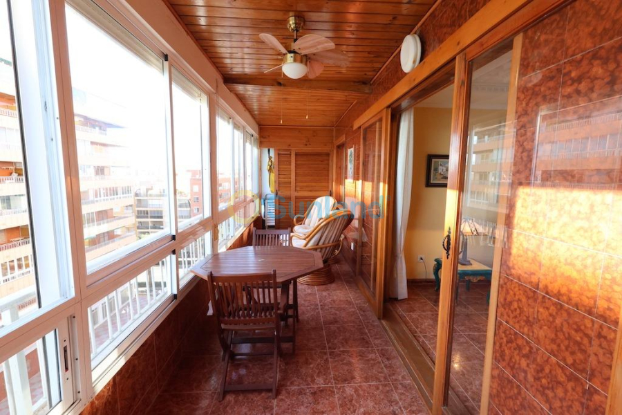 Segunda mano - A - Torrevieja - Acequion