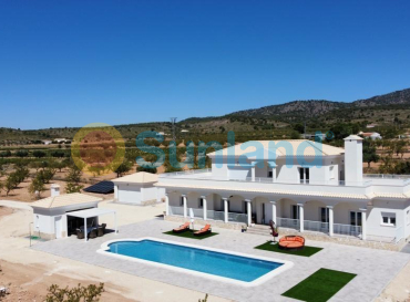 Villa - New Build - Pinoso - Camino Del Prado