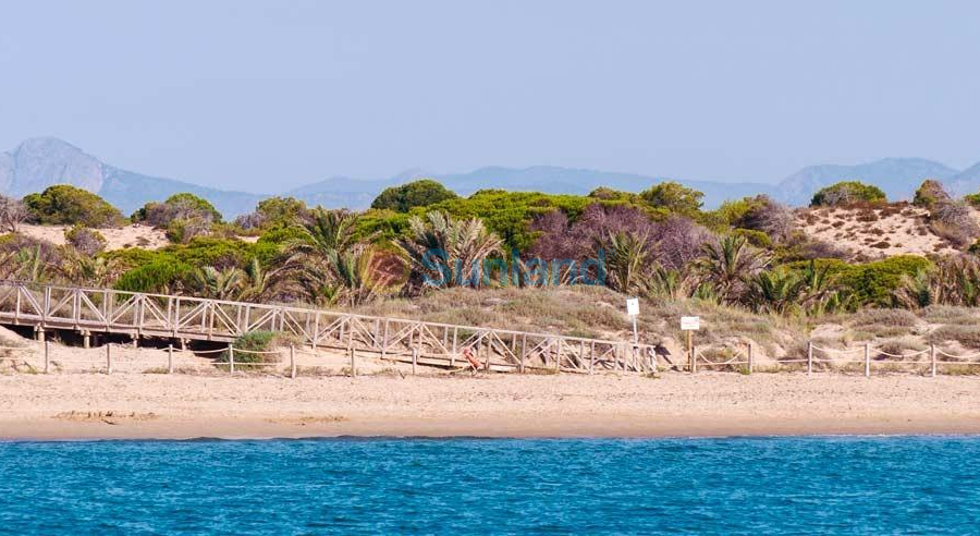 New Build - Apartment - Guardamar del Segura - Pueblo