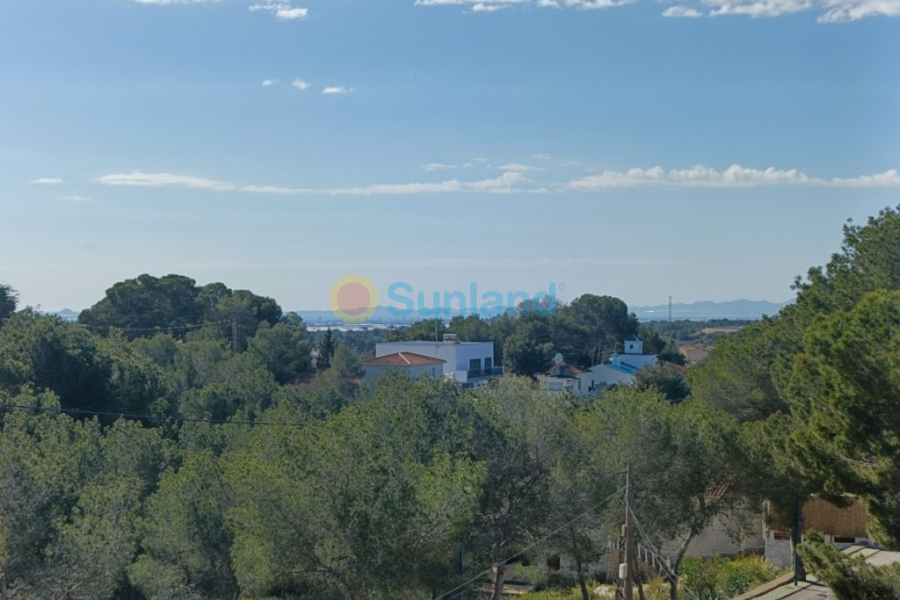 Verkauf - Haus - Pinar De Campoverde - 