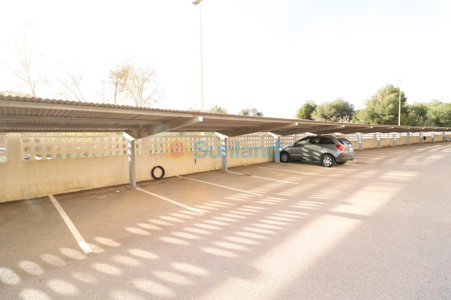 Segunda mano - A - Orihuela Costa - Campoamor