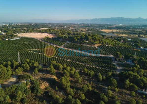 Nueva construcción  - Chalet - Godella - Campolivar