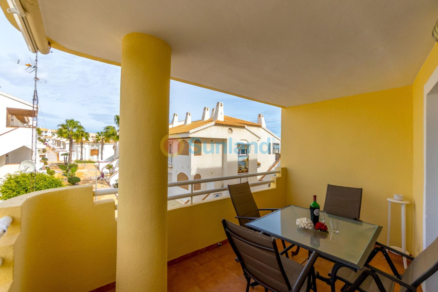 Segunda mano - Apartamento - Orihuela Costa - Campoamor