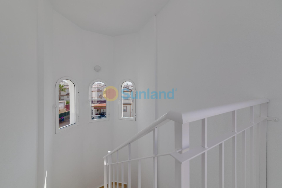 Ny bygg - Semidetached - San Fulgencio - El Oasis