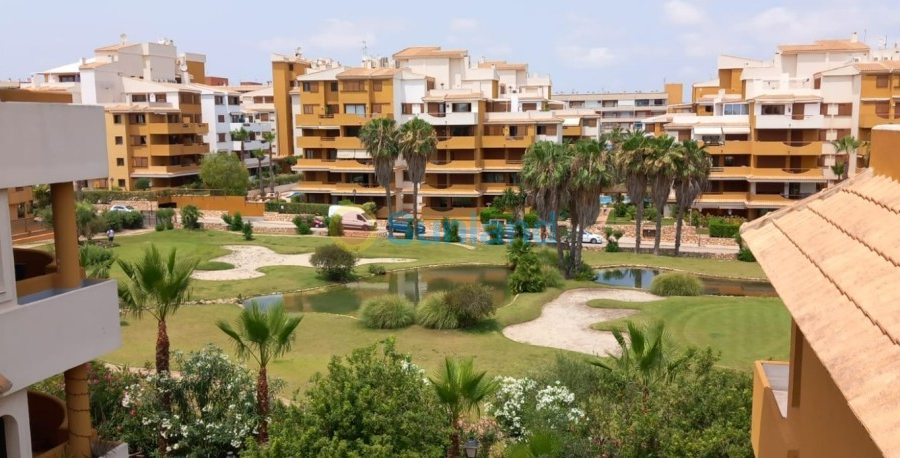 Segunda mano - Apartamento - Punta Prima