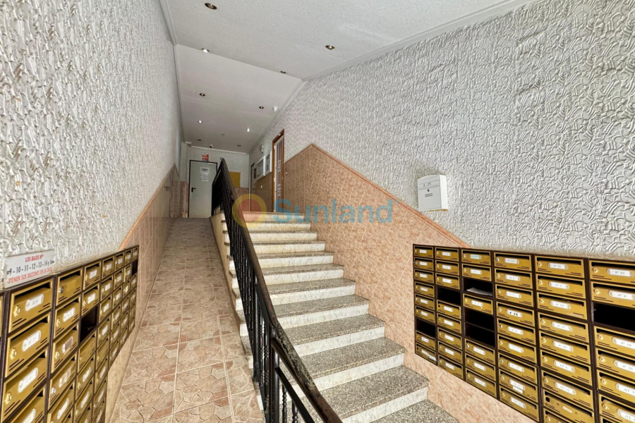 Brukte eiendommer - P - Torrevieja - Centro