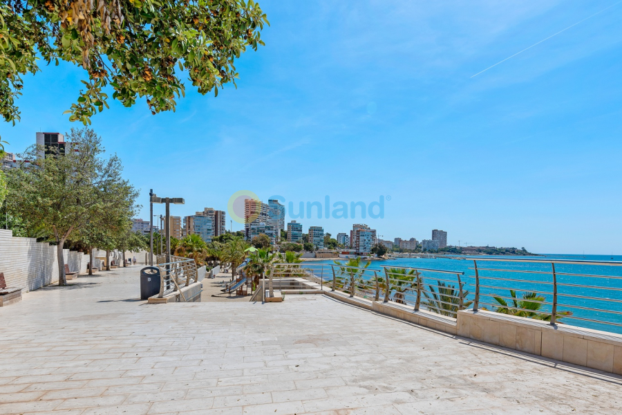 Вторичка - Апартамент - ALICANTE - Alicante