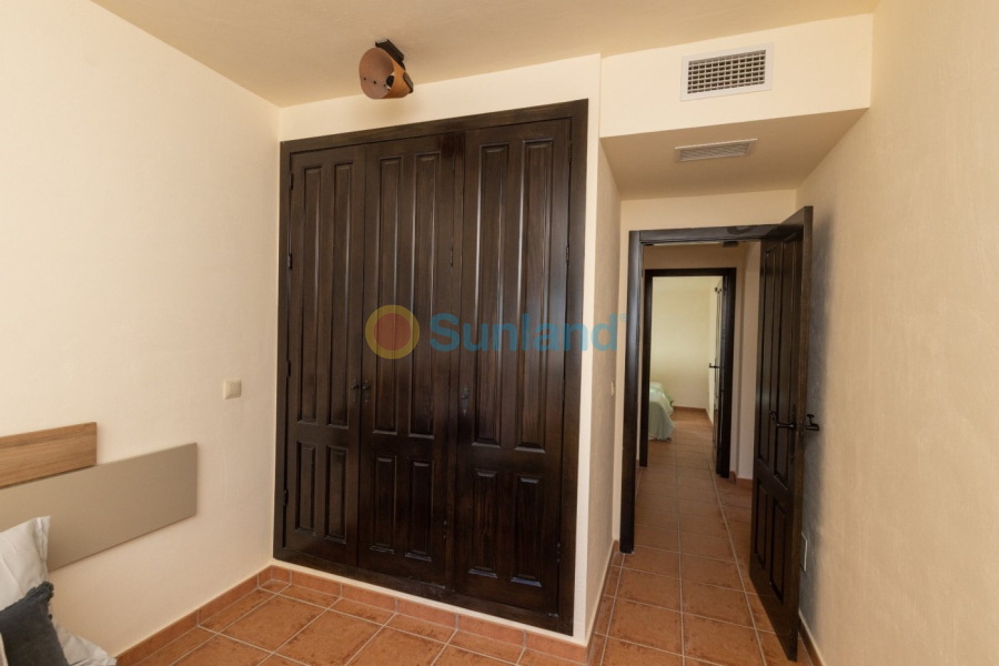 Nueva construcción  - Semidetached - Fuente Alamo - Las Palas