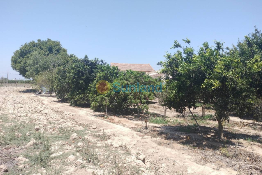 Resale - Country house - Rojales - 