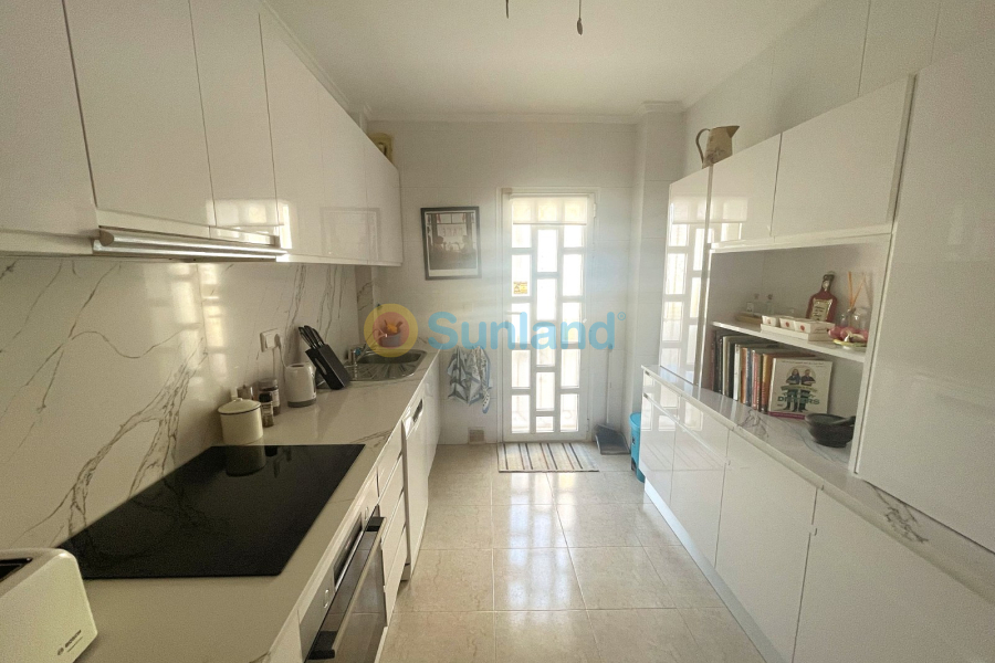 Segunda mano - Semi-detached - Ciudad Quesada - Doña Pepa