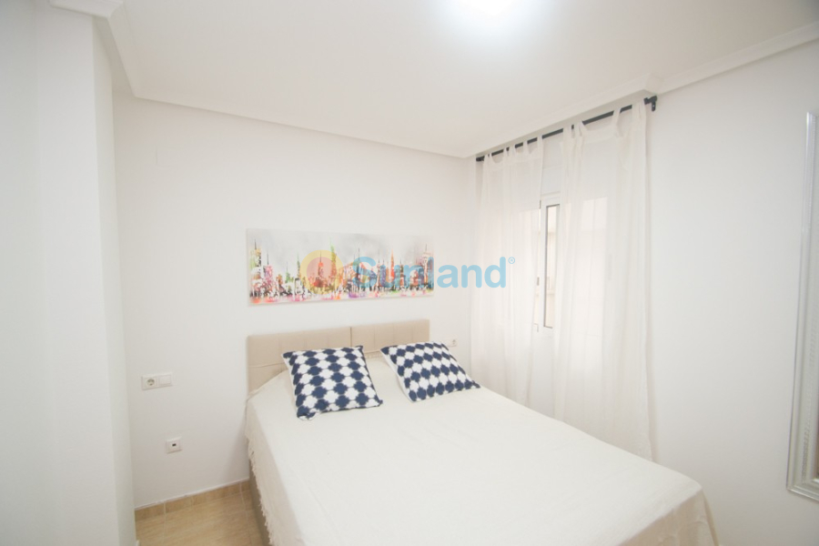Segunda mano - Apartamento - Orihuela - San Isidro