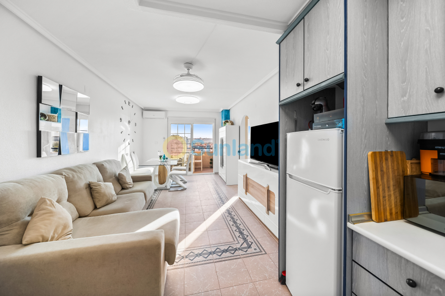 Segunda mano - Apartamento - Torrevieja - La Mata