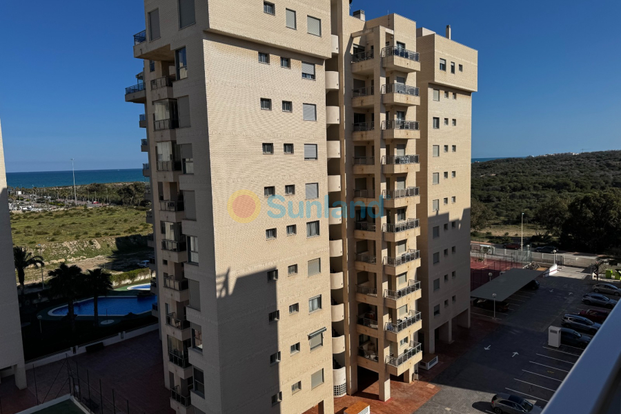 Segunda mano - Apartamento - Guardamar del Segura - Puerto Deportivo