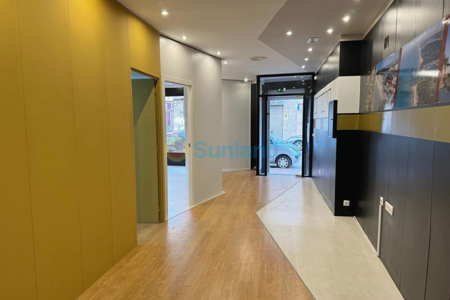 Använda fastigheter - Commercial space - Guardamar del Segura