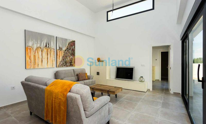 New Build - Villa - Daya Nueva - CENTRO