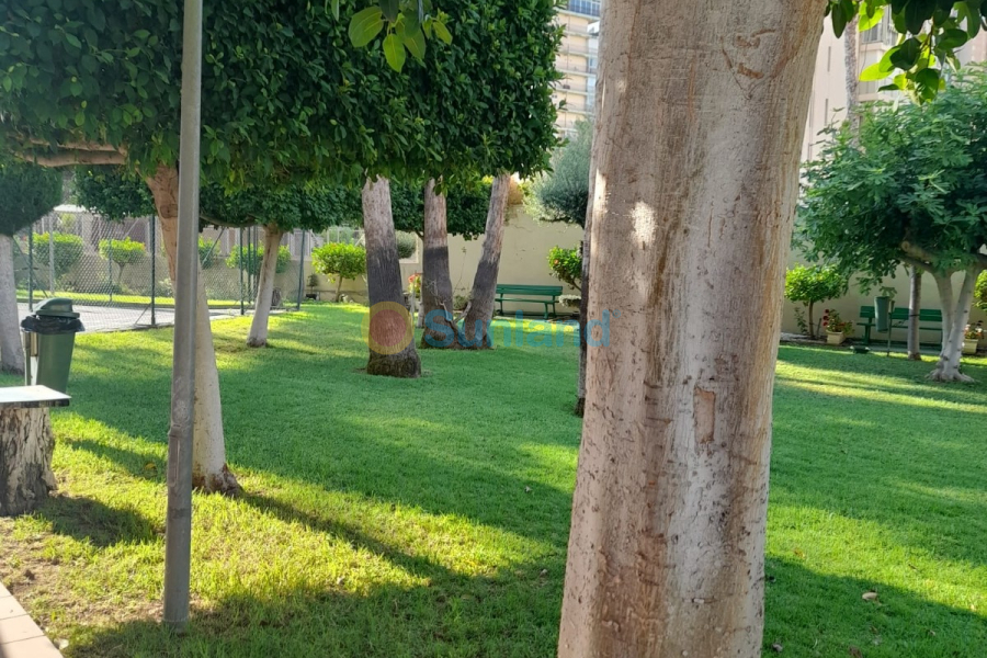 Brukte eiendommer - Leilighet - Benidorm - Levante