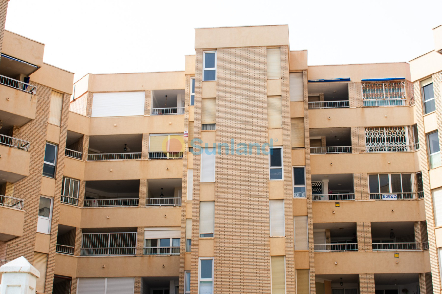 Segunda mano - Apartamento - Torrevieja - Playa Los Locos