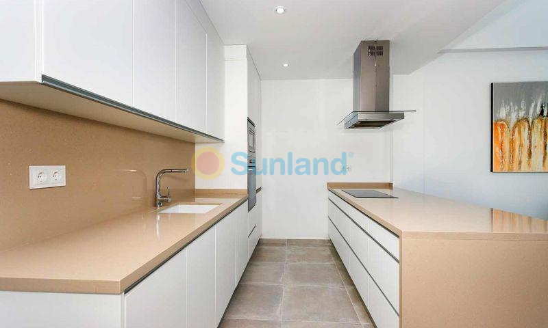 Ny bygg - Quad - Daya Nueva - CENTRO