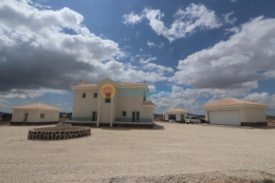 Ny bygg - Villa - Pinoso - Camino Del Prado