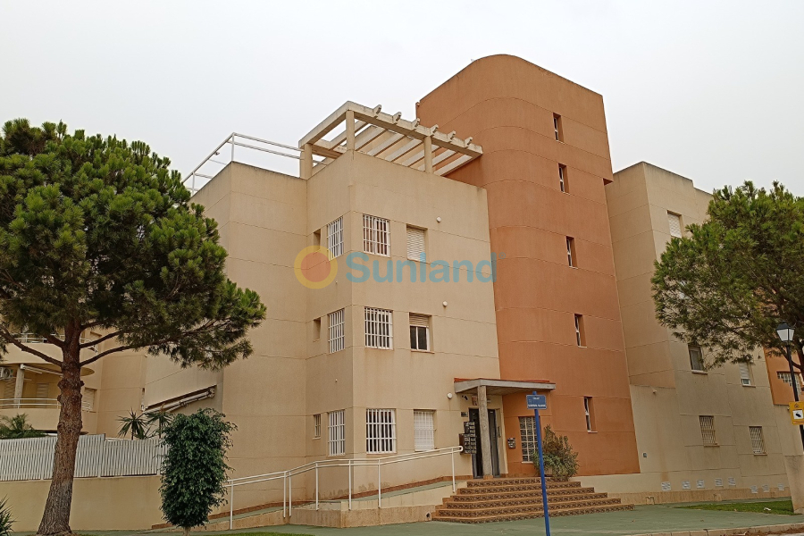 Segunda mano - Apartamento - Orihuela Costa - Dehesa De Campoamor
