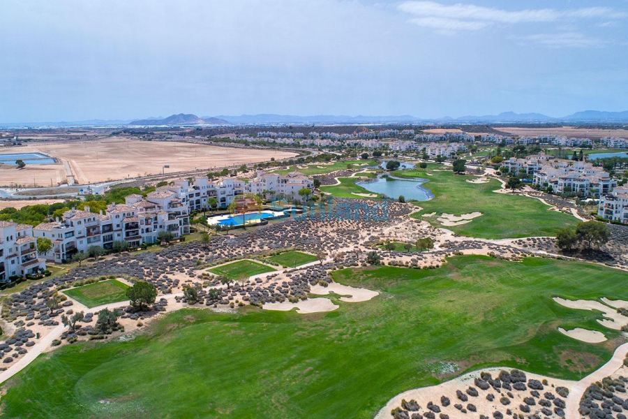 New Build - Semidetached - Sucina