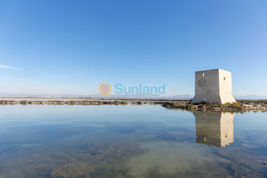 New Build - Apartment - Santa Pola - Estacion de autobuses