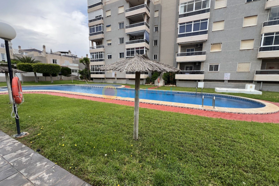 Använda fastigheter - Casa de Pueblo - Torrevieja - Torreblanca