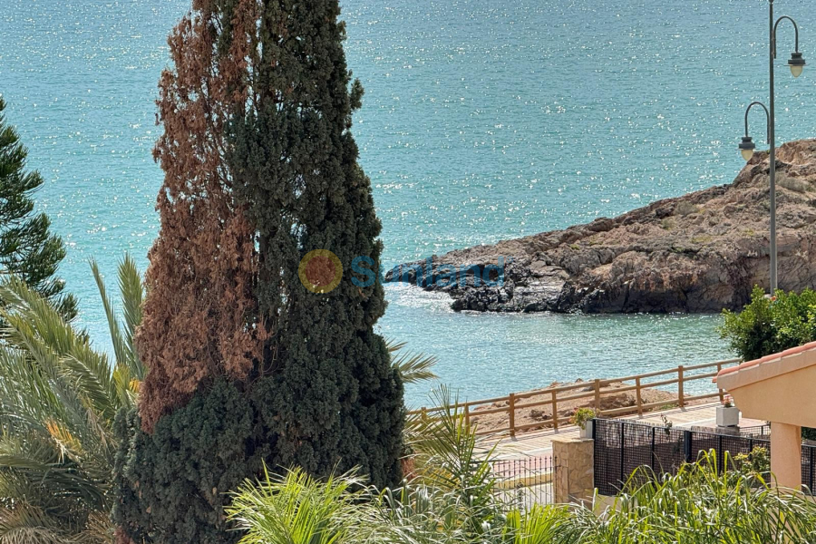 Använda fastigheter - Villa - Bolnuevo