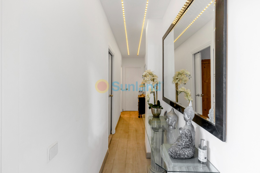 Brukte eiendommer - Leilighet - Torrevieja - Playa del Cura