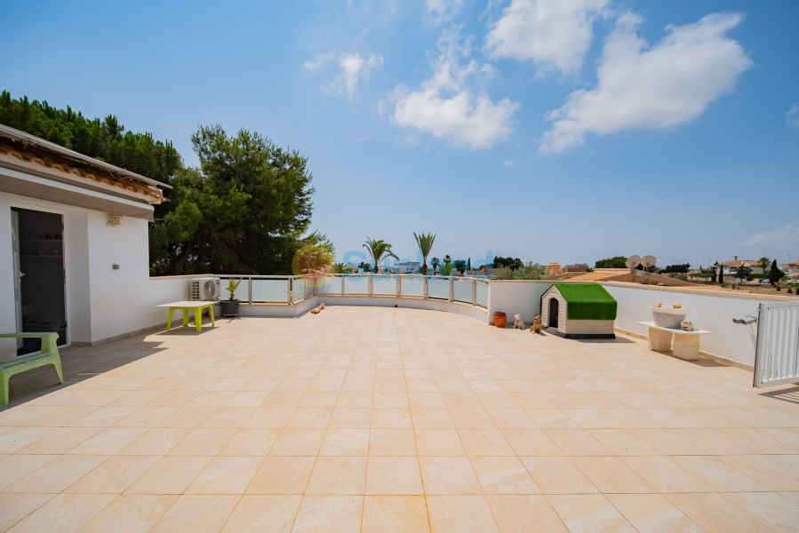 Verkauf - Haus - Orihuela Costa - La Florida