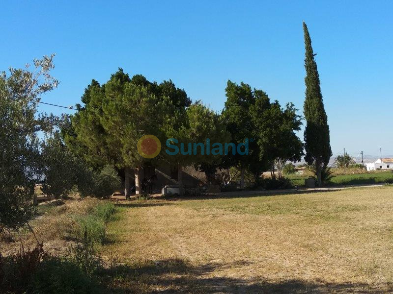 Resale - Finca - Callosa De Segura