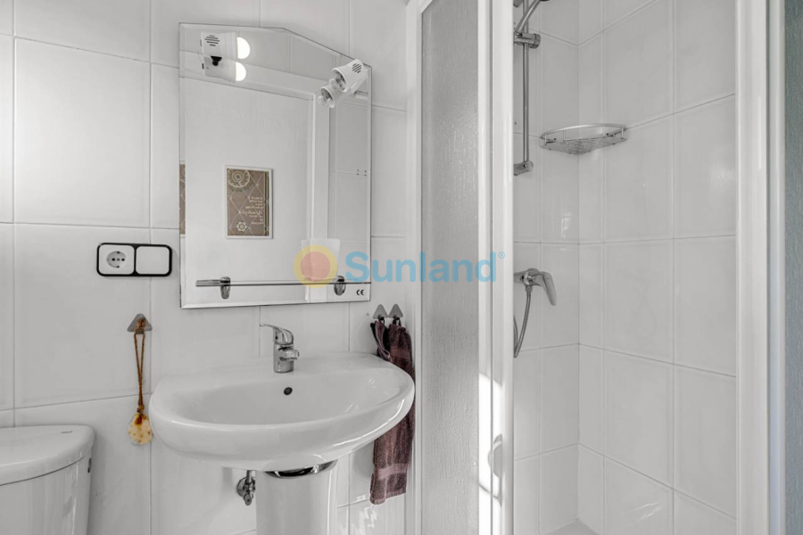 Segunda mano - Country house - Los Montesinos