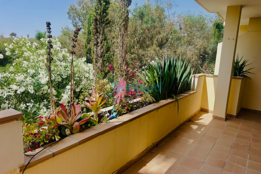 Brukte eiendommer - Leilighet - Orihuela Costa - Lomas de Campoamor