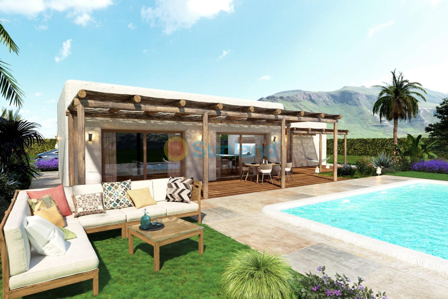 Ny bygg - Villa - Pinoso - Rodriguillo