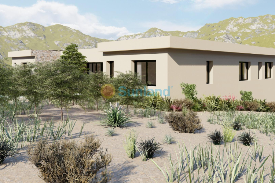 New Build - Villa - Yecla