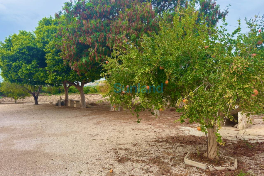 Resale - Country house - Rojales - 