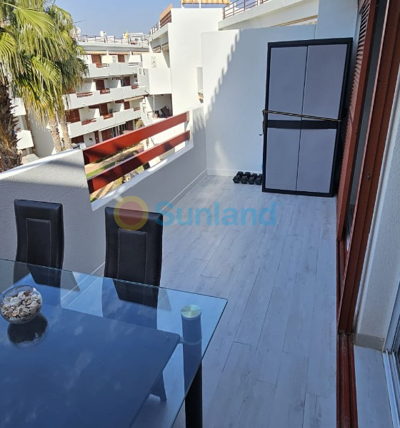 Segunda mano - Apartamento - Playa Flamenca