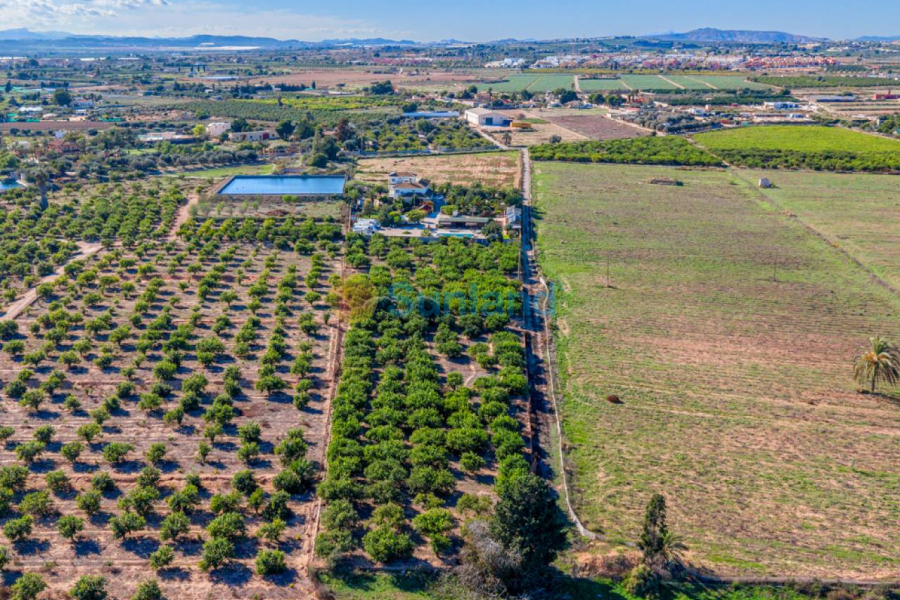 Segunda mano - Country house - Los Montesinos